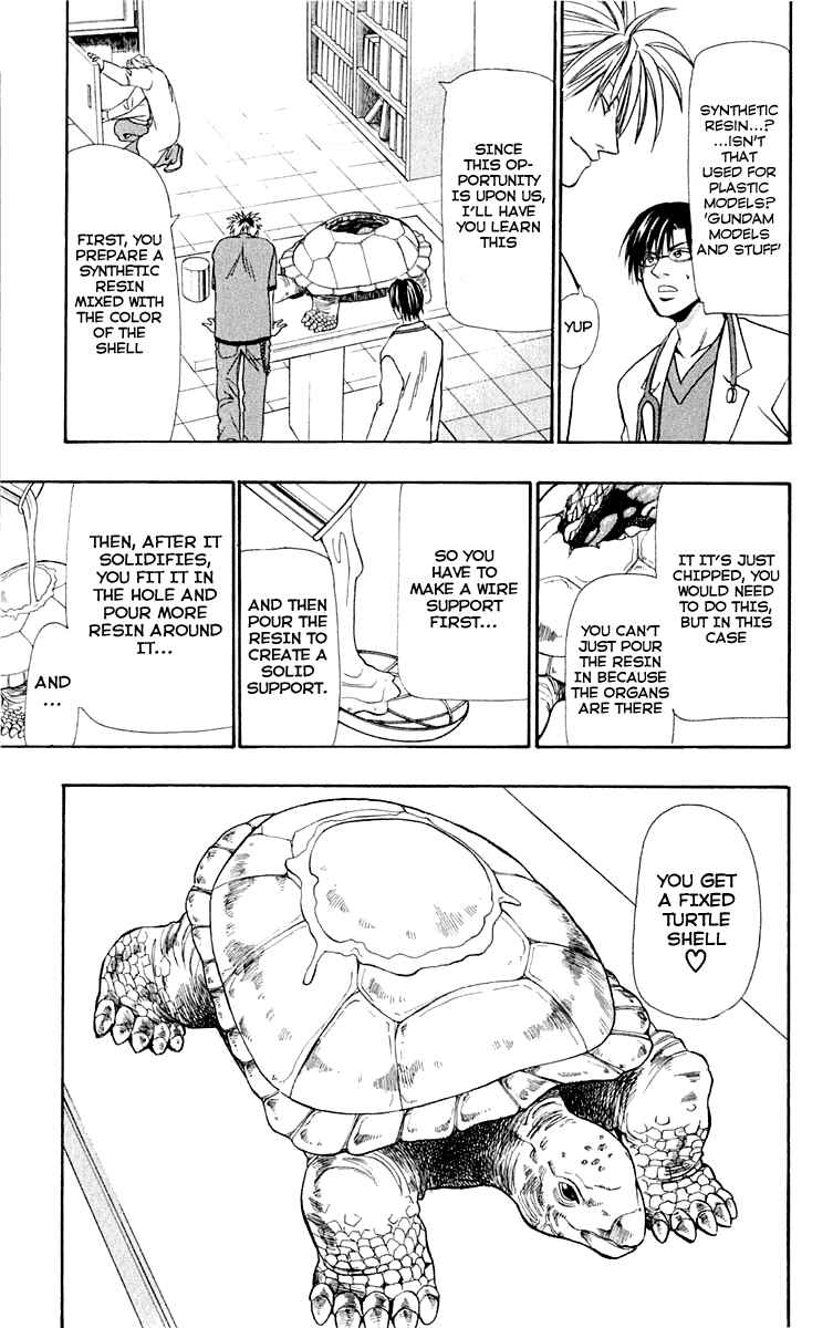 Page 3 Chapter 12 Wild Life