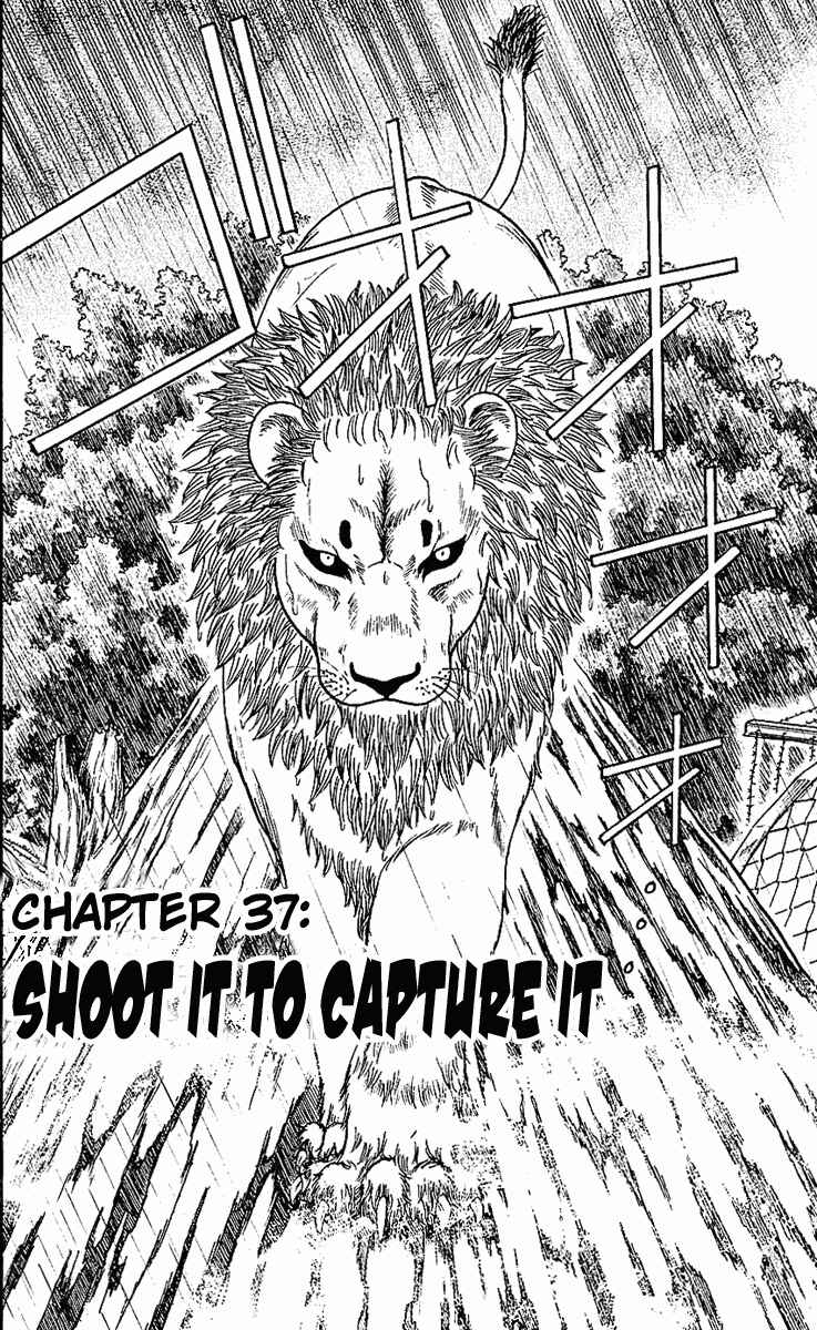 Page 6 Chapter 37 Wild Life