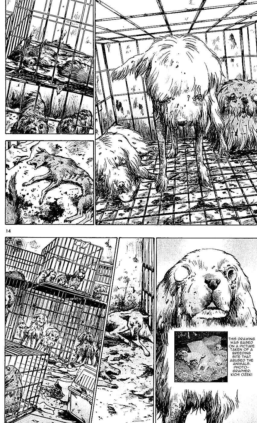 Page 14 Chapter 113 Wild Life