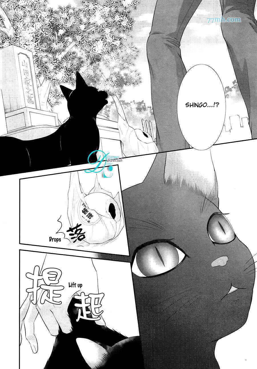 Page 3 Chapter 9 Kuroneko Kareshi no Afurekata