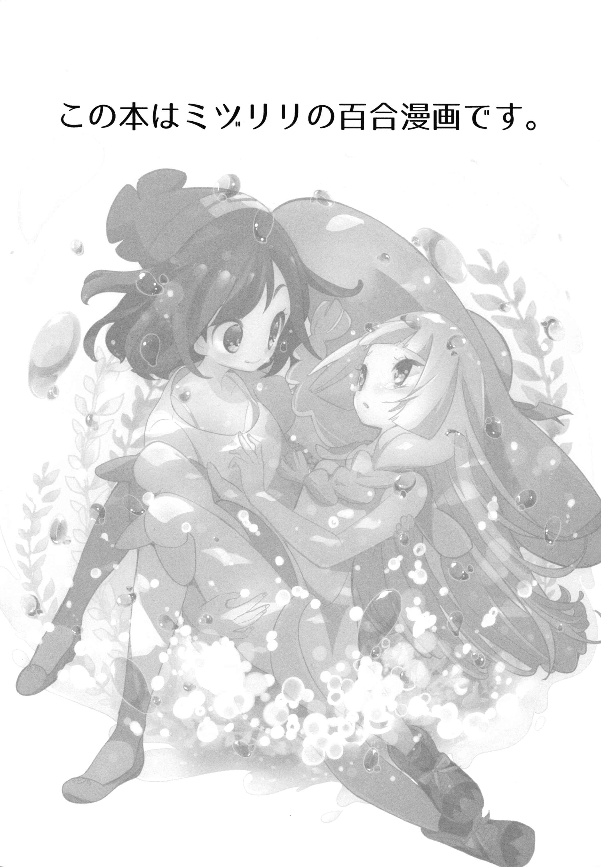 Page 4 Chapter Unknown_a660 Pokémon Sun and Moon - Moondrop Meltysunny (Doujinshi)