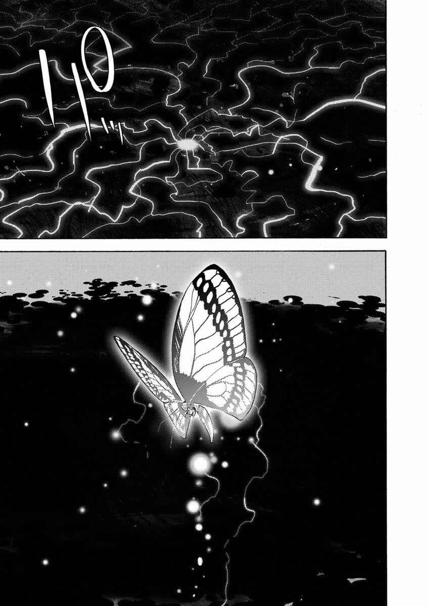 Page 14 Chapter 11 Butterfly Storage