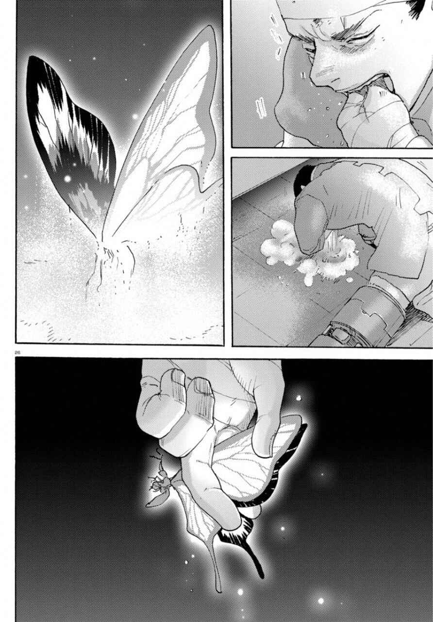 Page 22 Chapter 23 Butterfly Storage