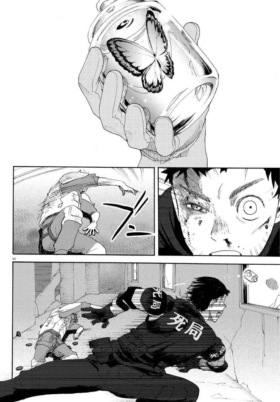 Page 29 Chapter 2 Butterfly Storage