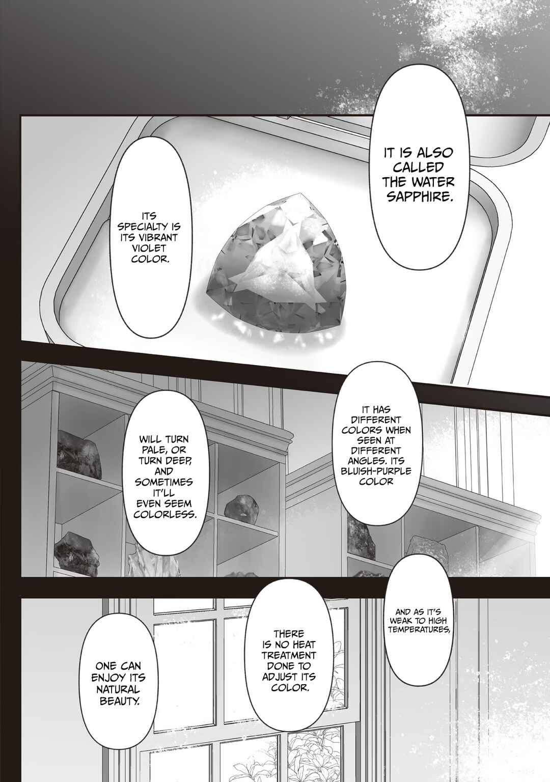 Page 13 Chapter 6.9 Housekishou no Maid