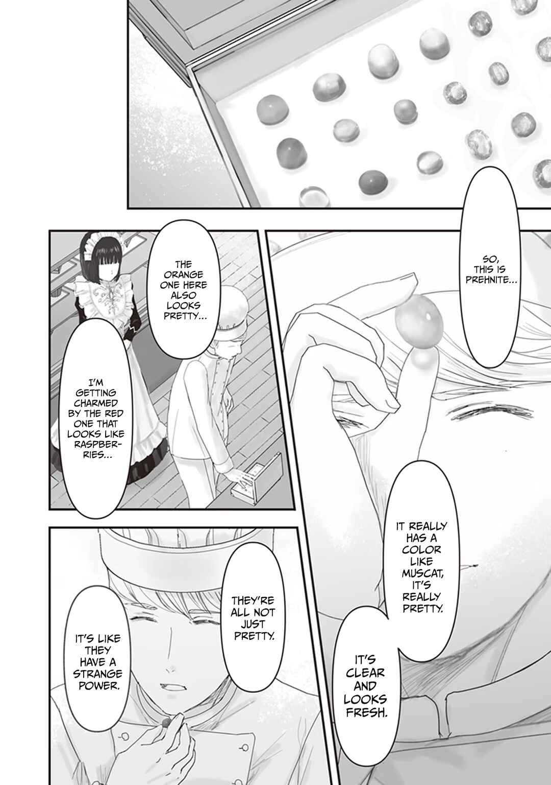 Page 17 Chapter 11.5 Housekishou no Maid