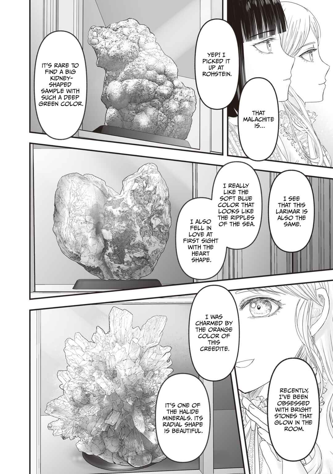 Page 13 Chapter 25.5 Housekishou no Maid
