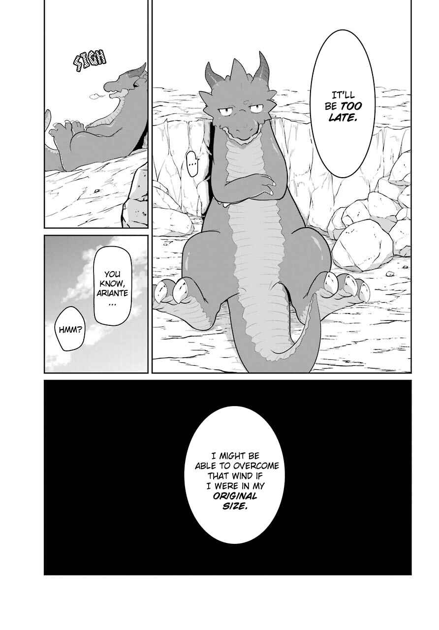Page 17 Chapter 13 Yowai 5000-nen no Soushoku Dragon, Iware naki Jaryuu Nintei: Yada Kono Ikenie, Hito no Hanashi wo Kiite Kurenai