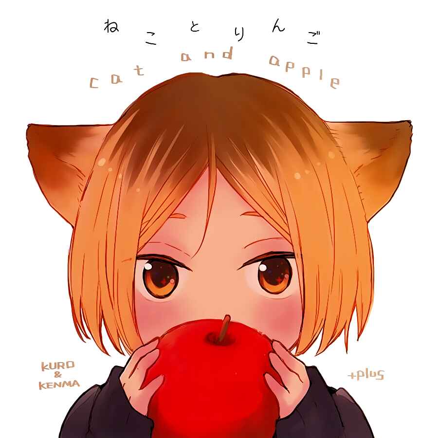 Page 1 Chapter Unknown_fb7e Haikyu!! - Neko to Ringo (Doujinshi)
