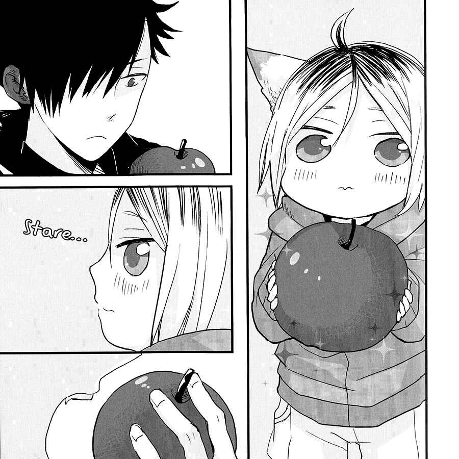 Page 14 Chapter Unknown_fb7e Haikyu!! - Neko to Ringo (Doujinshi)
