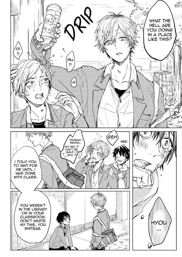Page 20 Chapter 3 Camelia