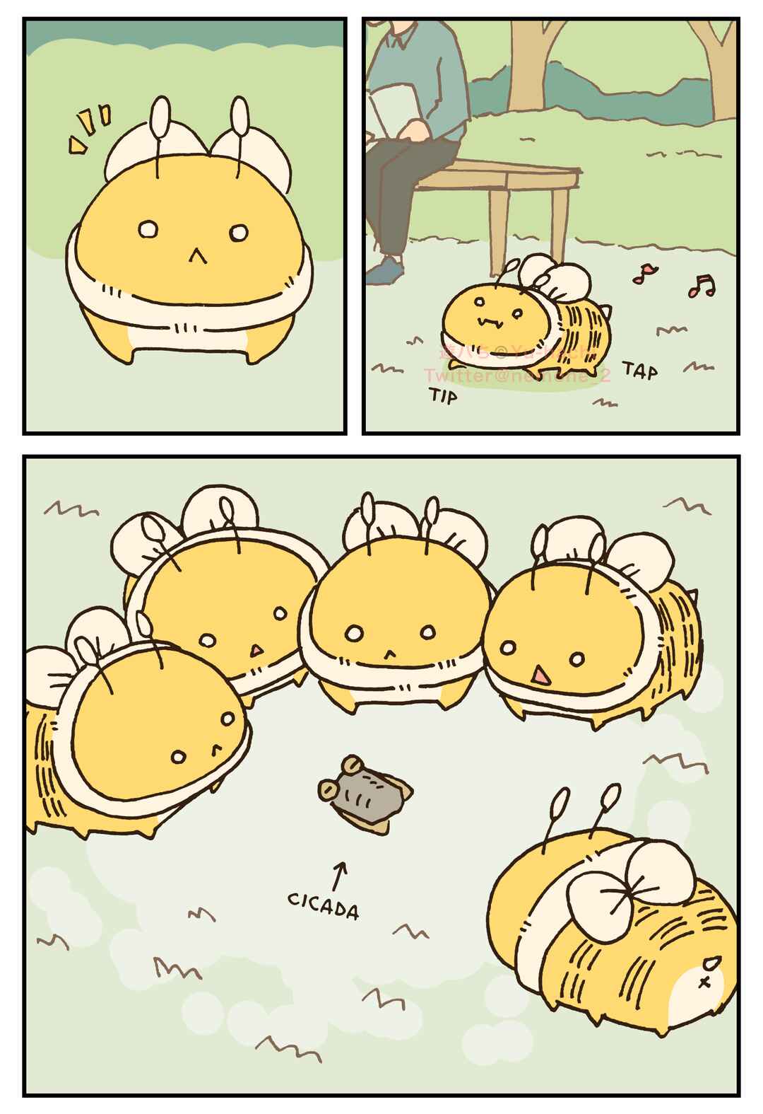 Page 1 Chapter 27 The Big Bees