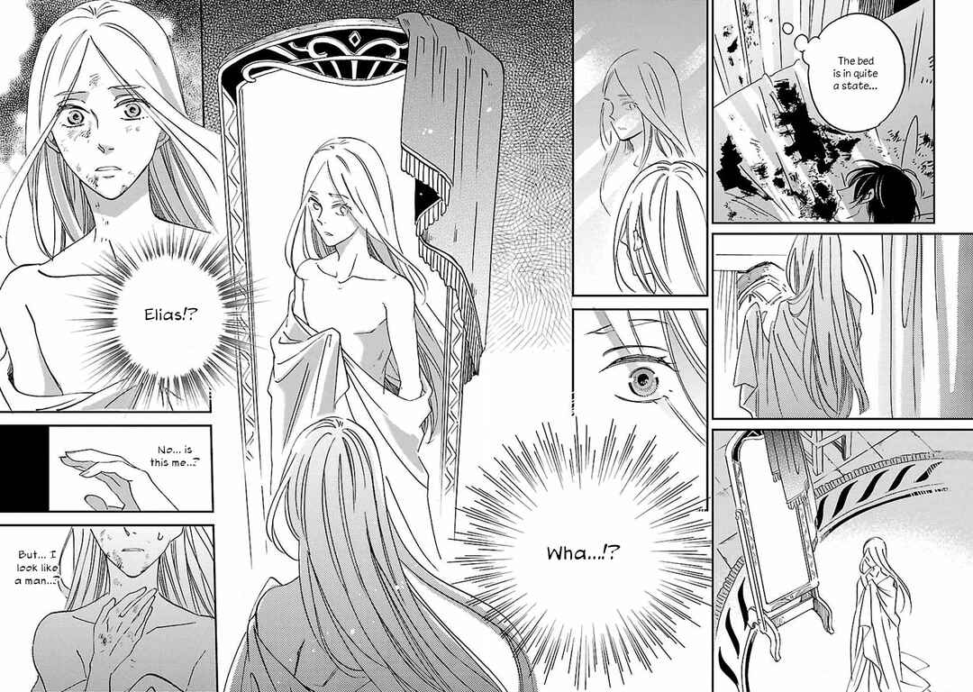 Page 27 Chapter 5 Eila to Totsukuni no Ou