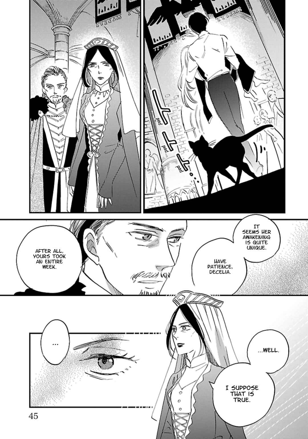 Page 45 Chapter 6 Eila to Totsukuni no Ou