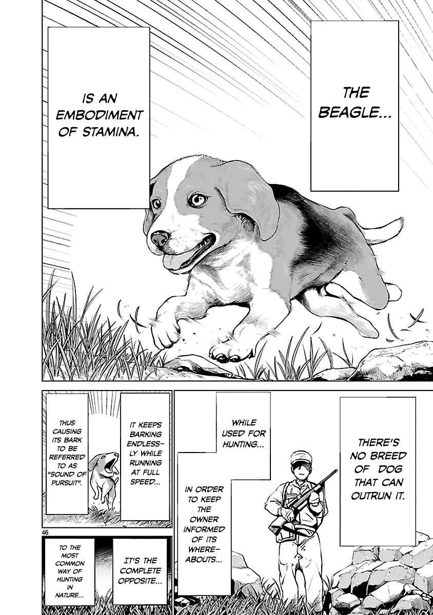 Page 43 Chapter 34 Killing Bites