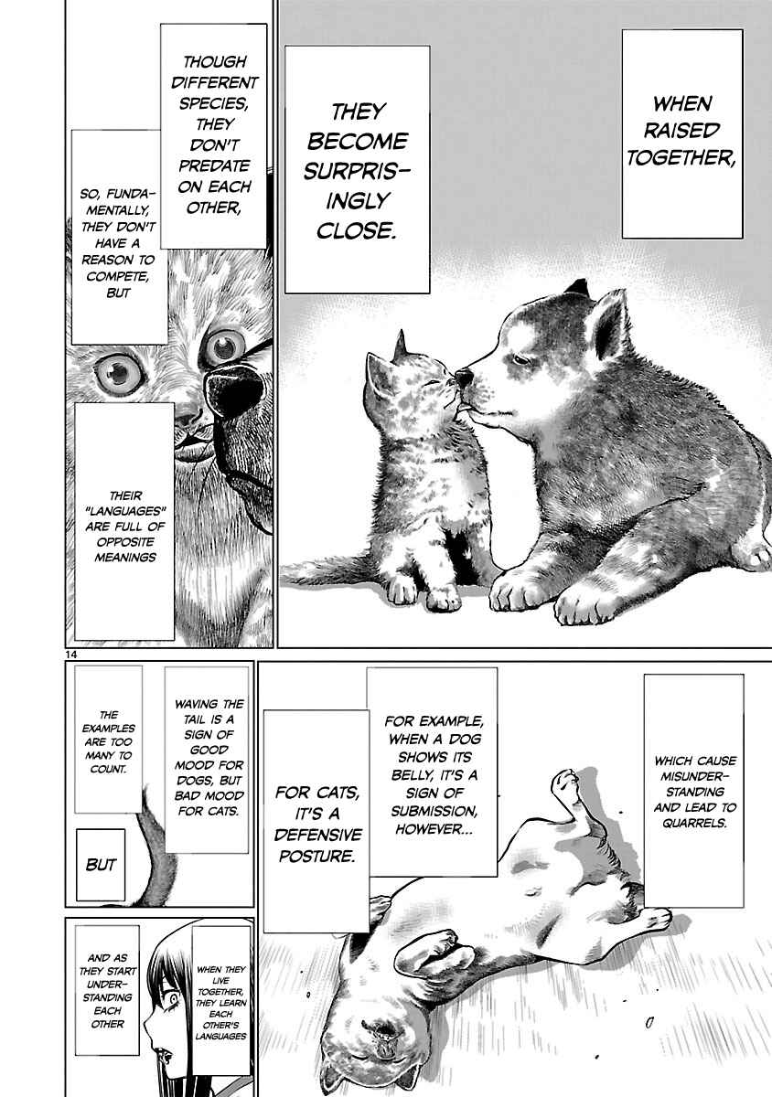 Page 14 Chapter 39 Killing Bites