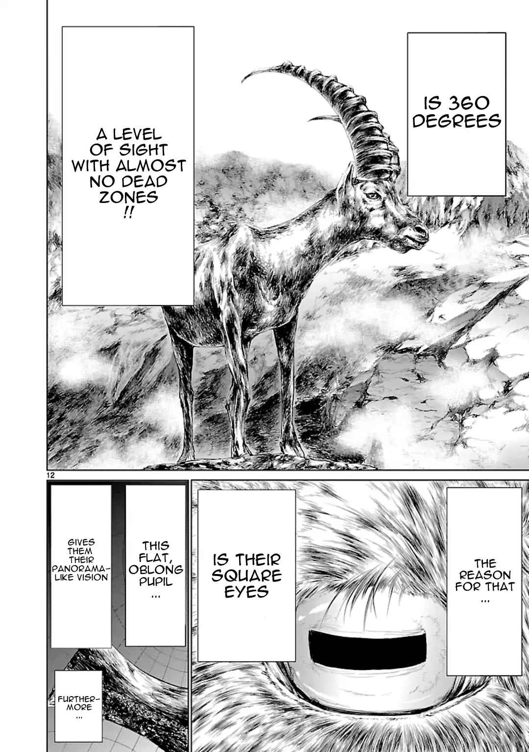 Page 12 Chapter 56 Killing Bites