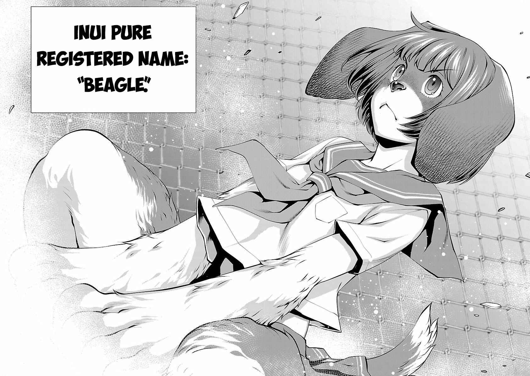 Page 44 Chapter 31 Killing Bites