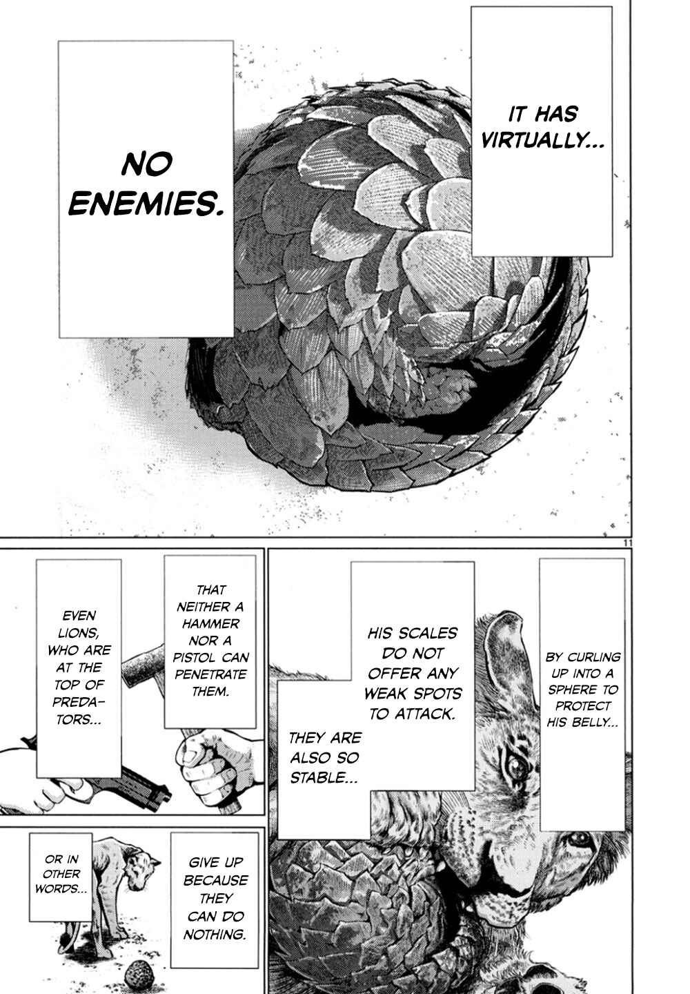 Page 11 Chapter 24 Killing Bites
