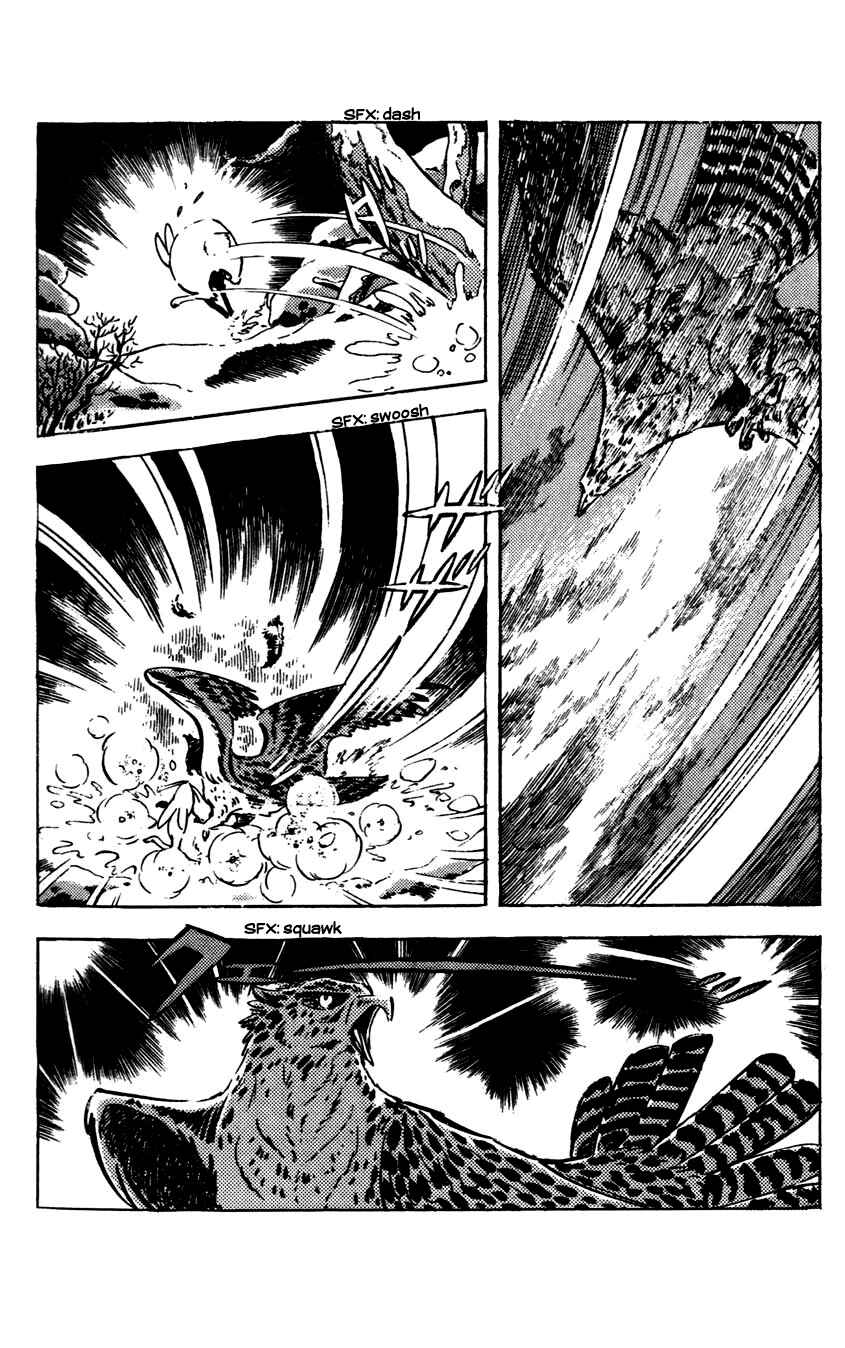 Page 45 Chapter 8 Flap Your Wings, Taromaru!