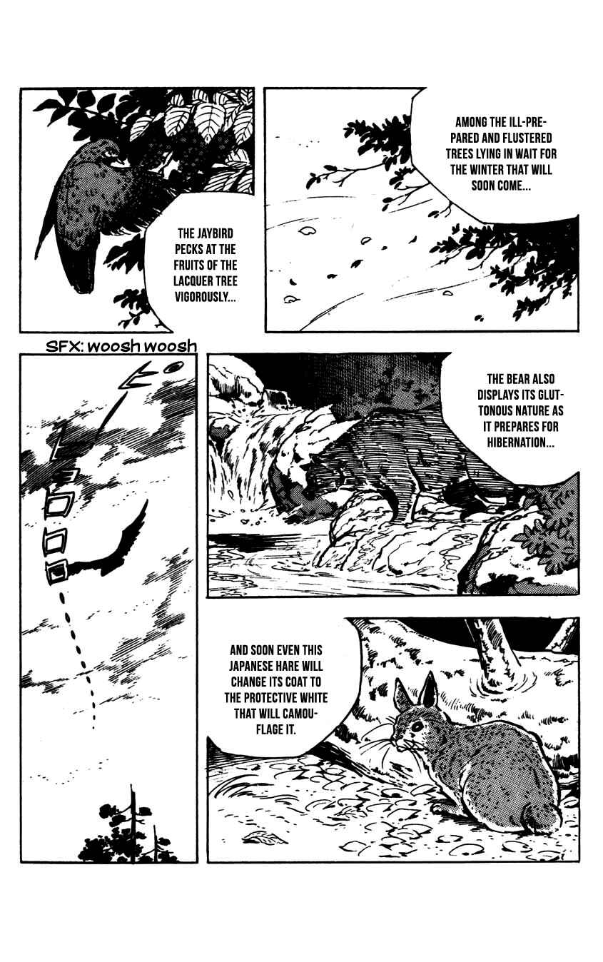 Page 8 Chapter 1 Flap Your Wings, Taromaru!