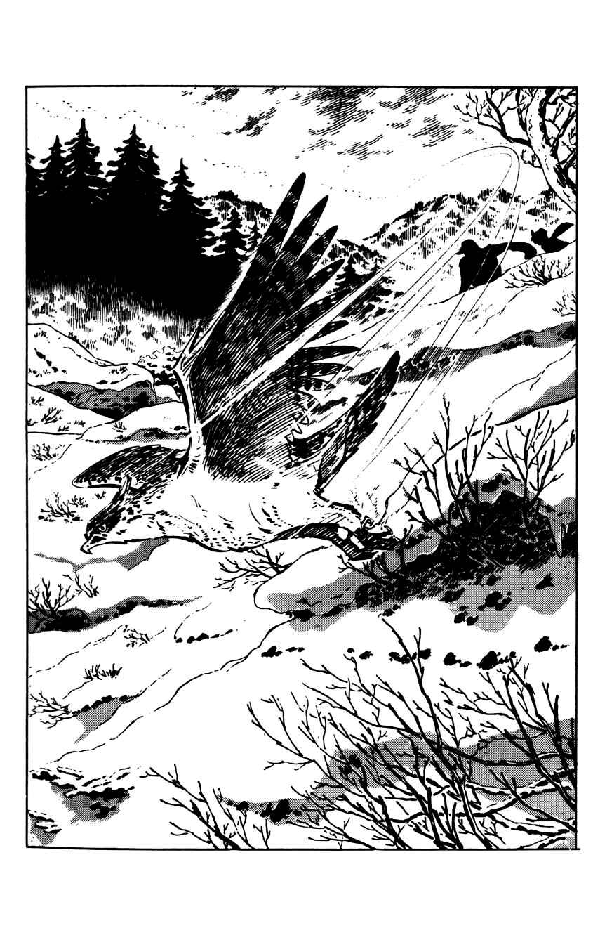 Page 7 Chapter 3 Flap Your Wings, Taromaru!