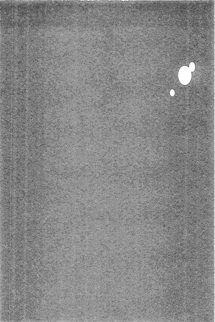 Page 3 Chapter 2 Drifting Net Café