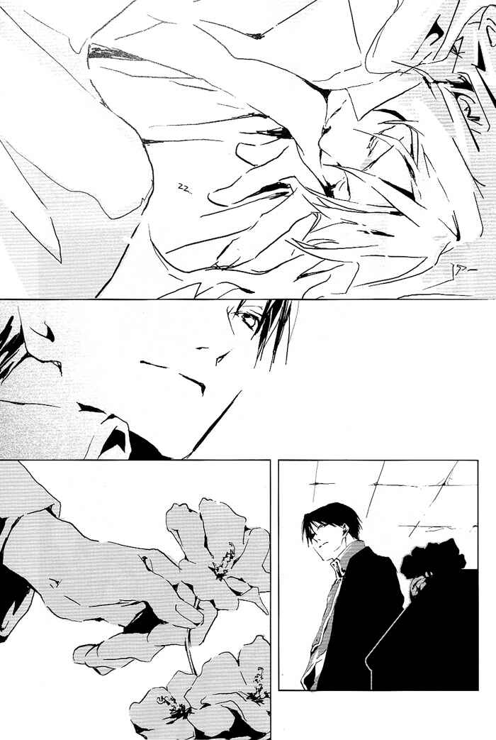 Page 12 Chapter Unknown_bc0f Fullmetal Alchemist - Traumerei (Doujinshi)