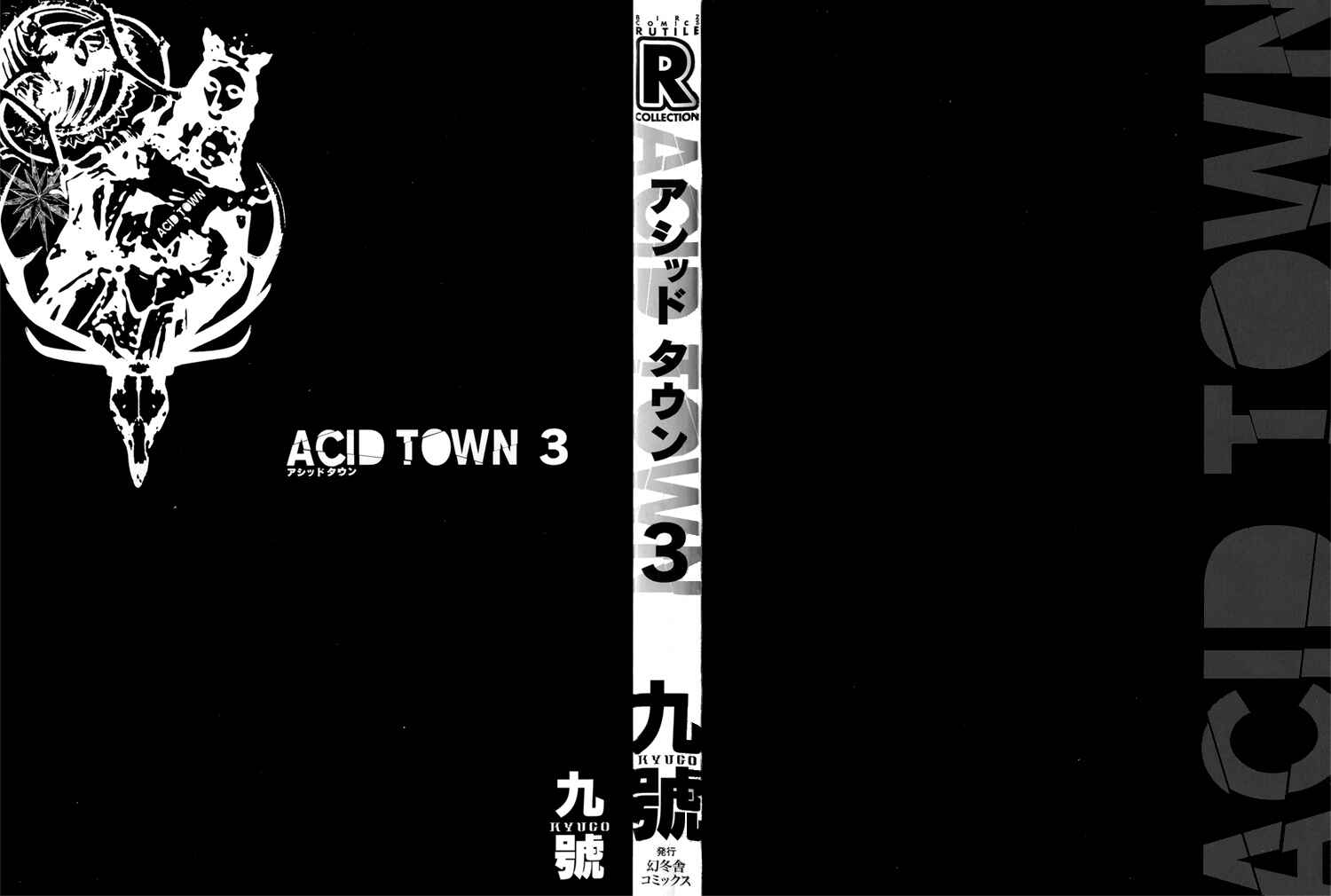 Page 3 Chapter 11 Acid Town