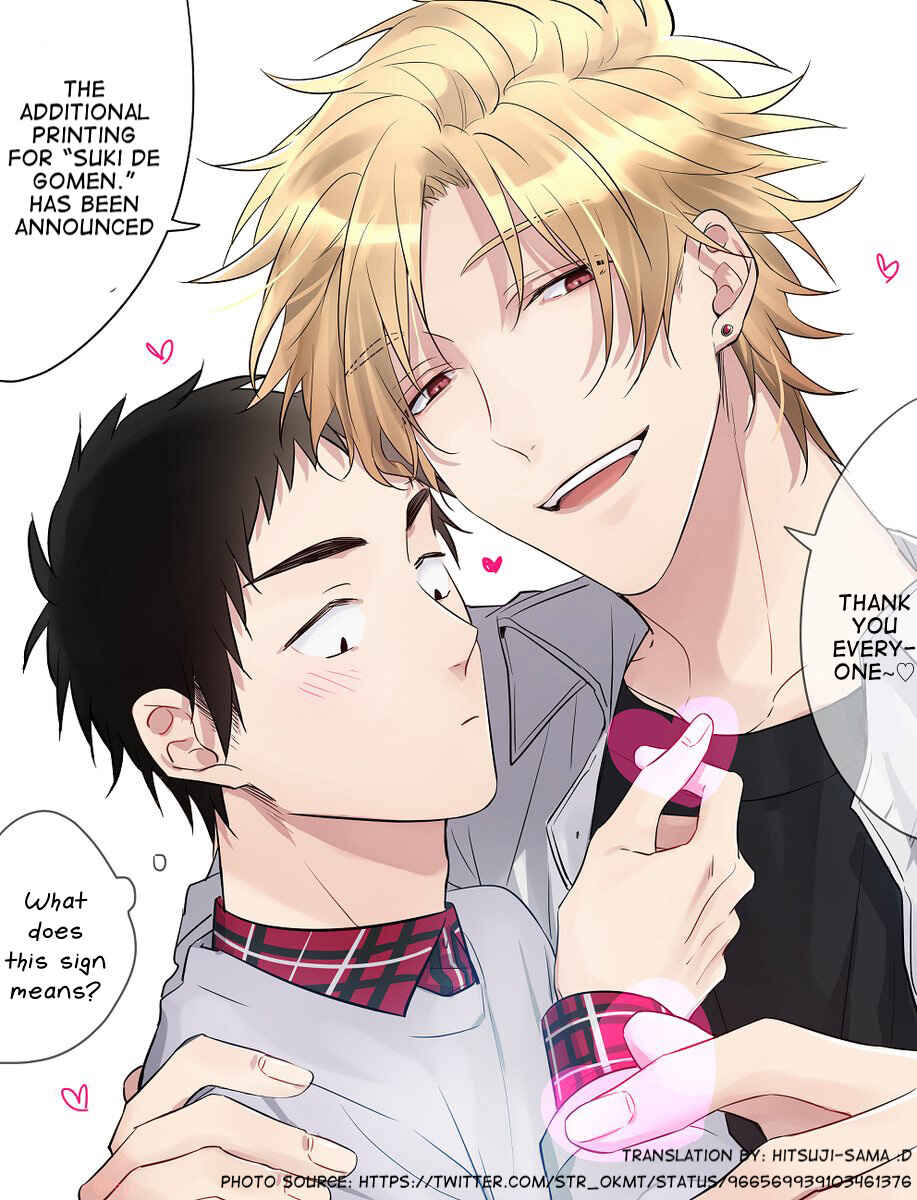 Page 15 Chapter 14 Suki de Gomen