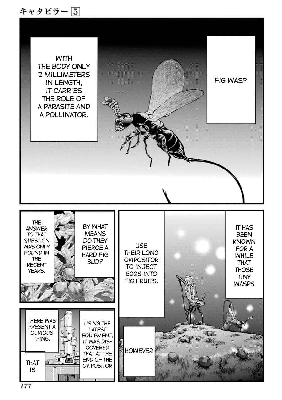 Page 2 Chapter 41 Caterpillar