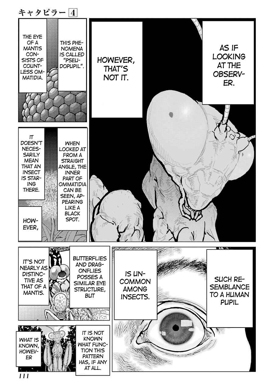 Page 17 Chapter 29 Caterpillar