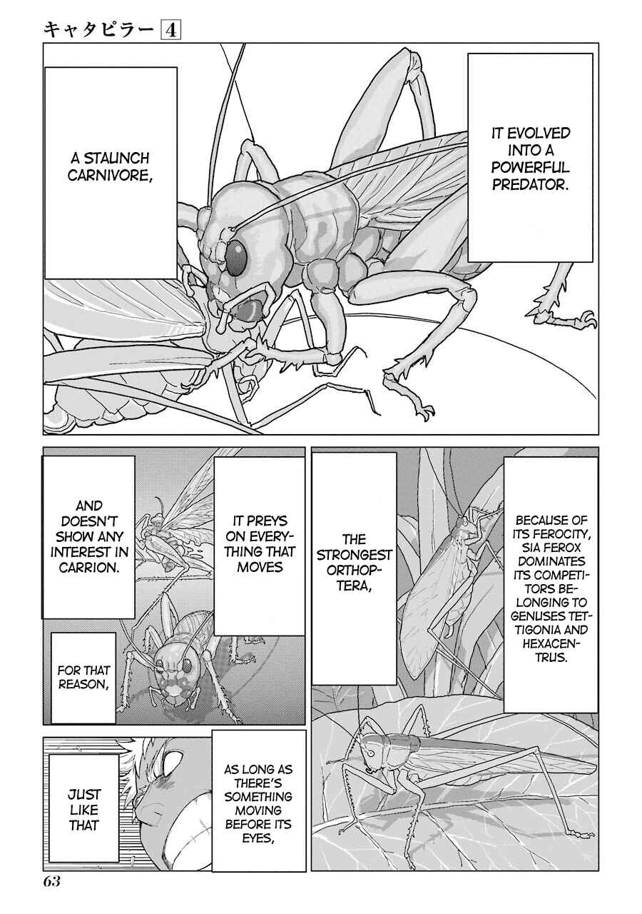 Page 17 Chapter 27 Caterpillar