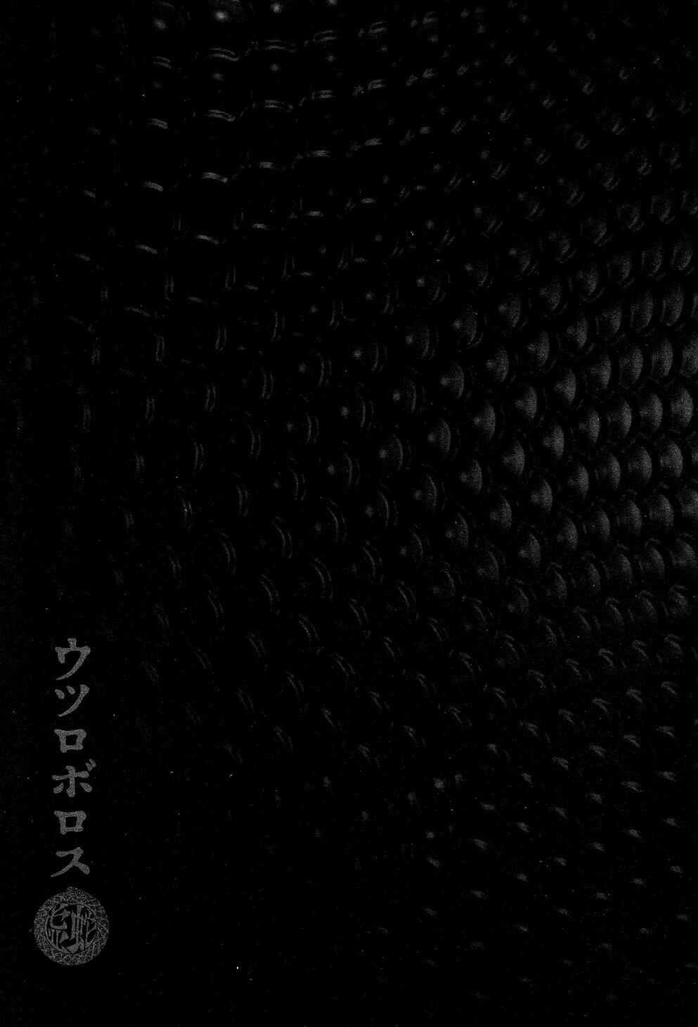 Page 33 Chapter 4 Utsuroboros