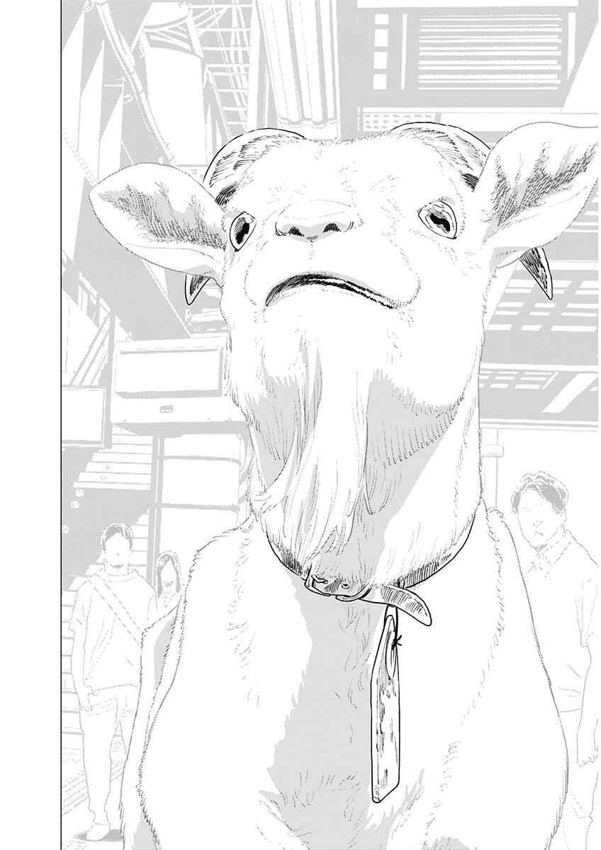 Page 11 Chapter 5 My Capricorn Friend