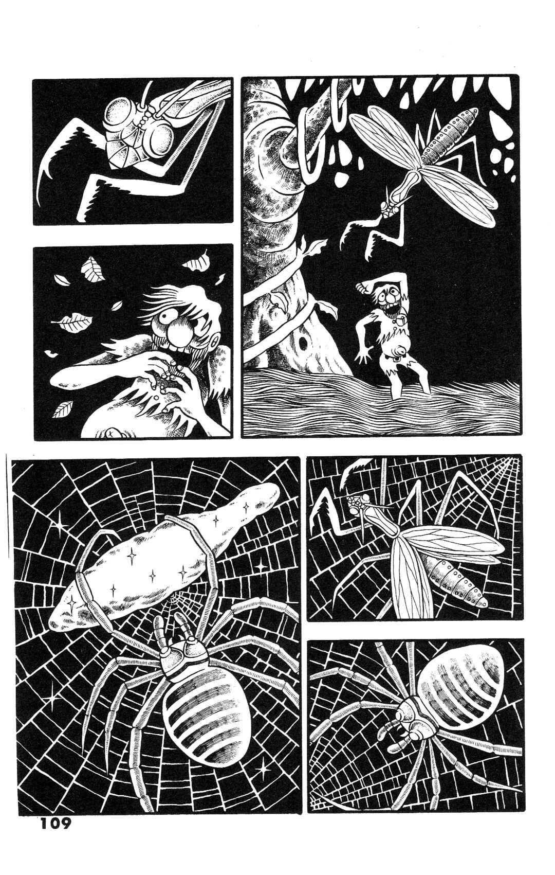 Page 7 Chapter 4 The Illusionary Island