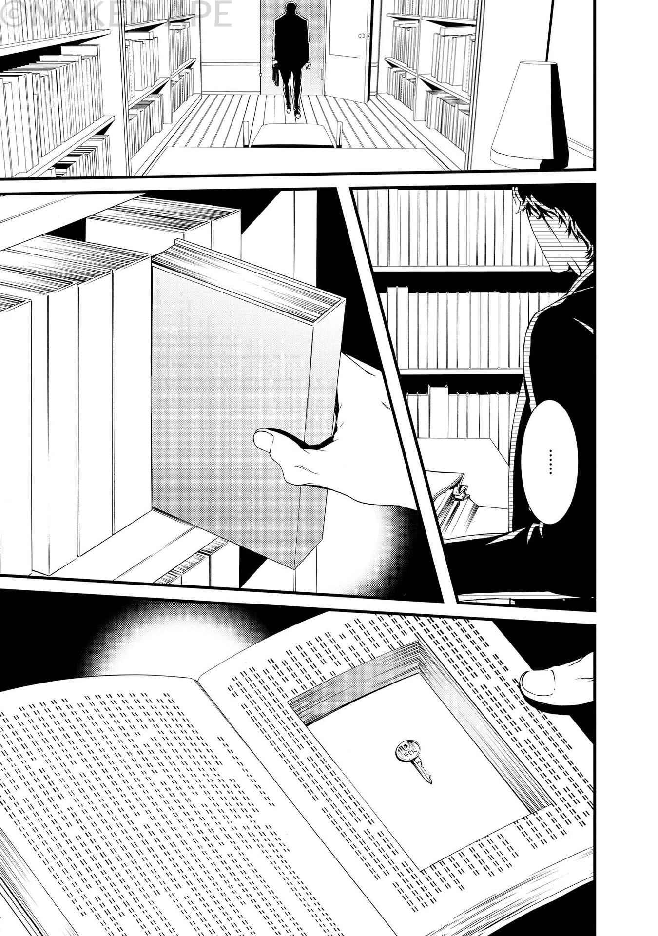 Page 4 Chapter 11 Halcyon