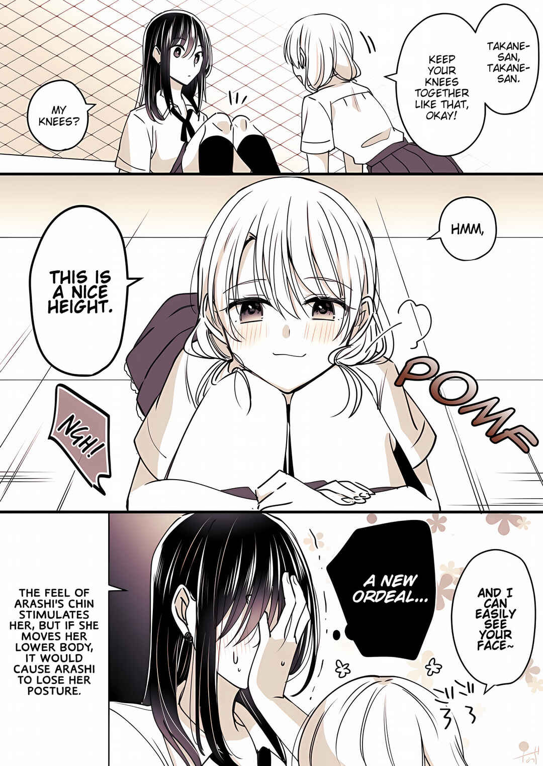Page 11 Chapter 8 Takane-san and Arashi-chan
