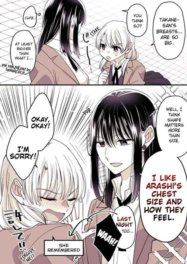 Page 4 Chapter 2 Takane-san and Arashi-chan