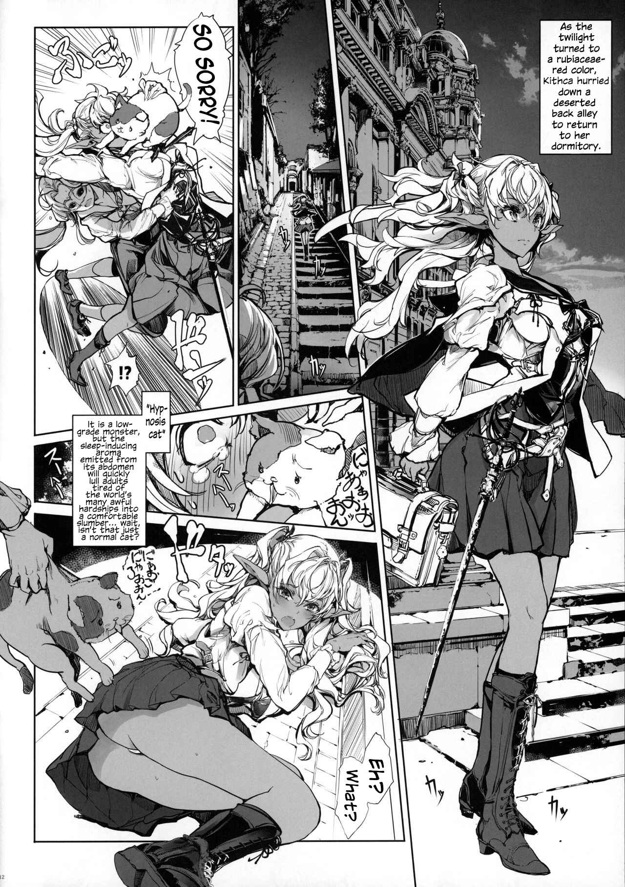 Page 11 Chapter Unknown_40bd The Maiden Knight Chronicles: The Maiden Knights Secrets