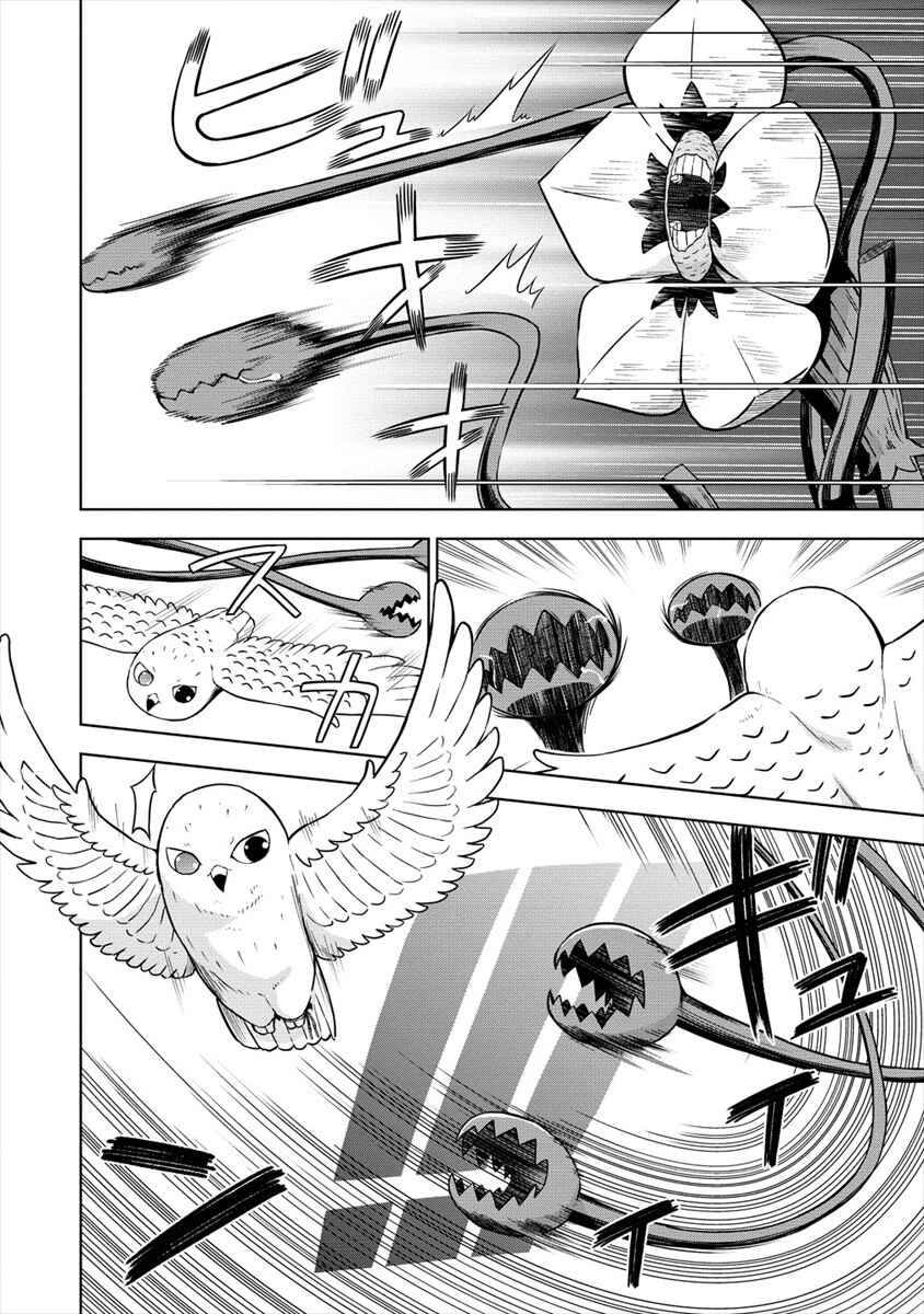 Page 14 Chapter 17 VRMMO de Summoner Hajimemashita