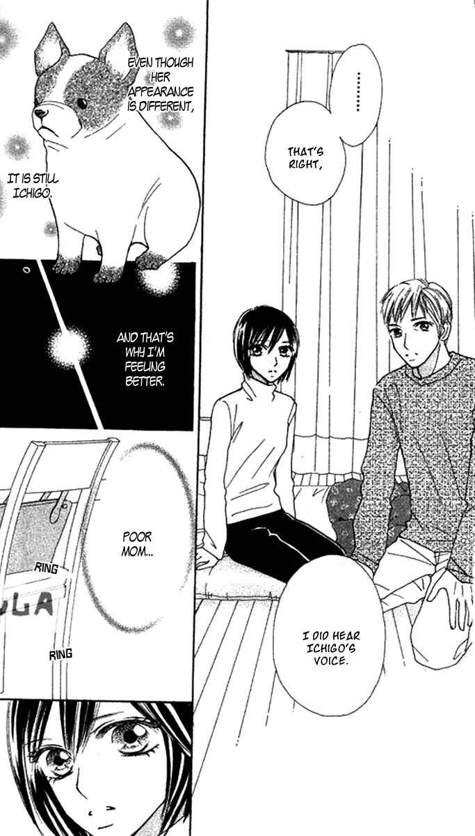 Page 16 Chapter 7 Ichigo to Anzu