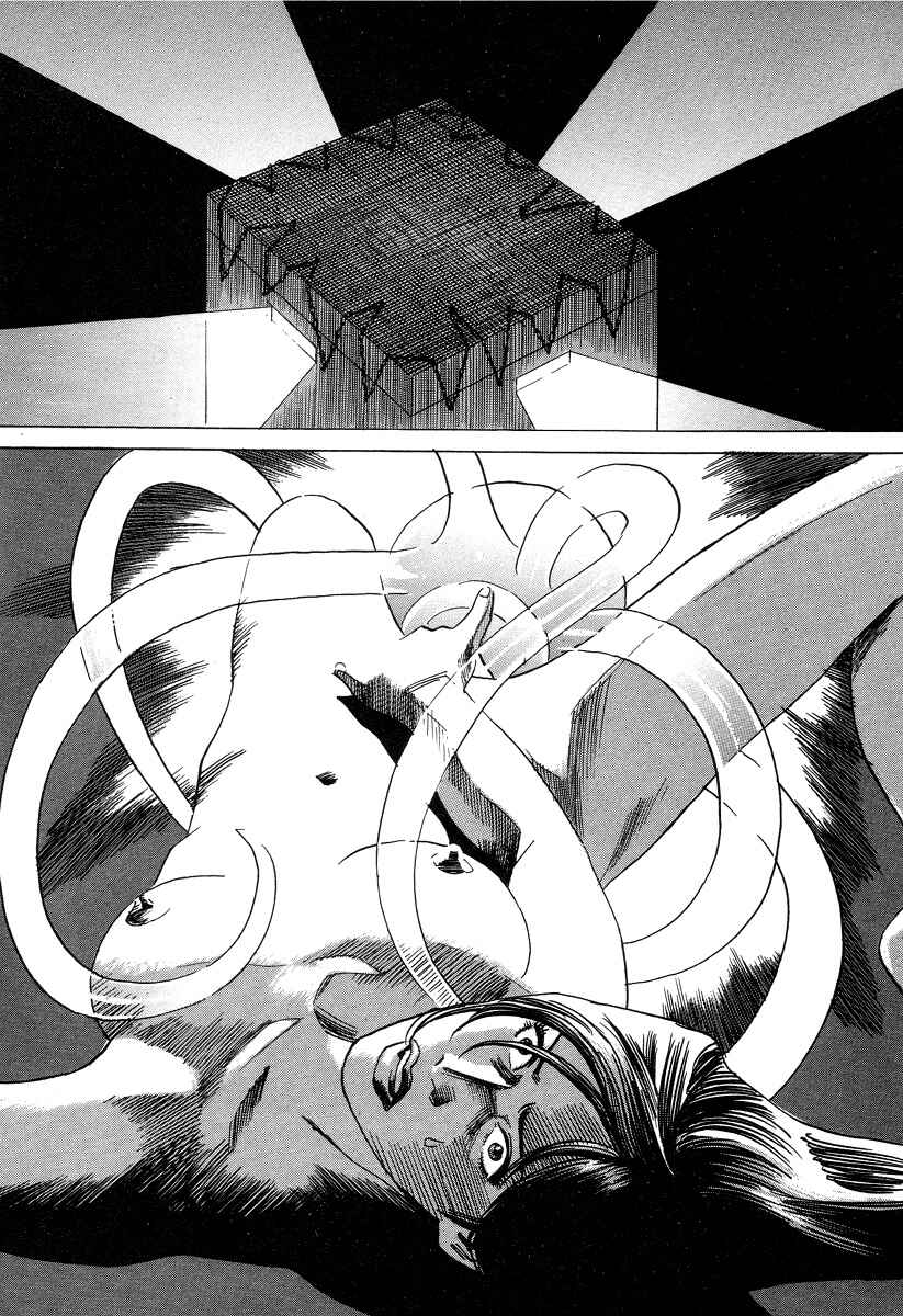 Page 3 Chapter 13 Cambrian