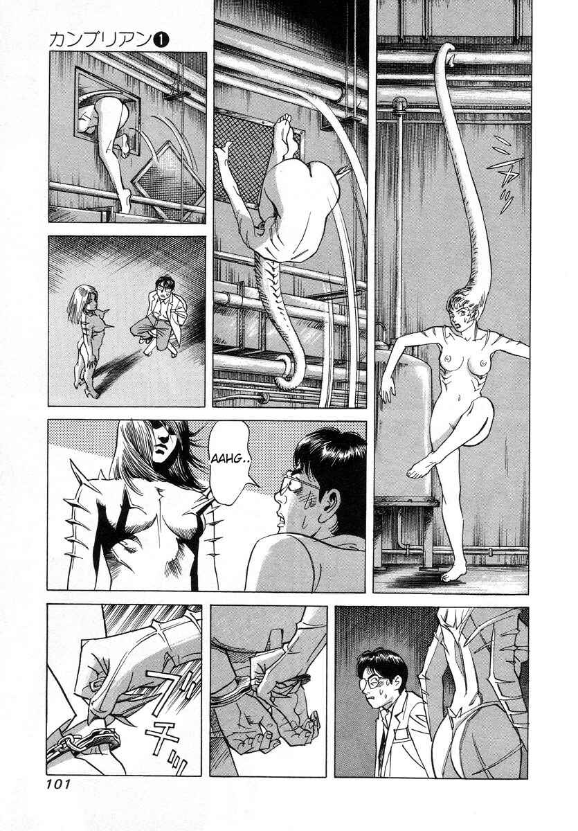 Page 17 Chapter 4 Cambrian