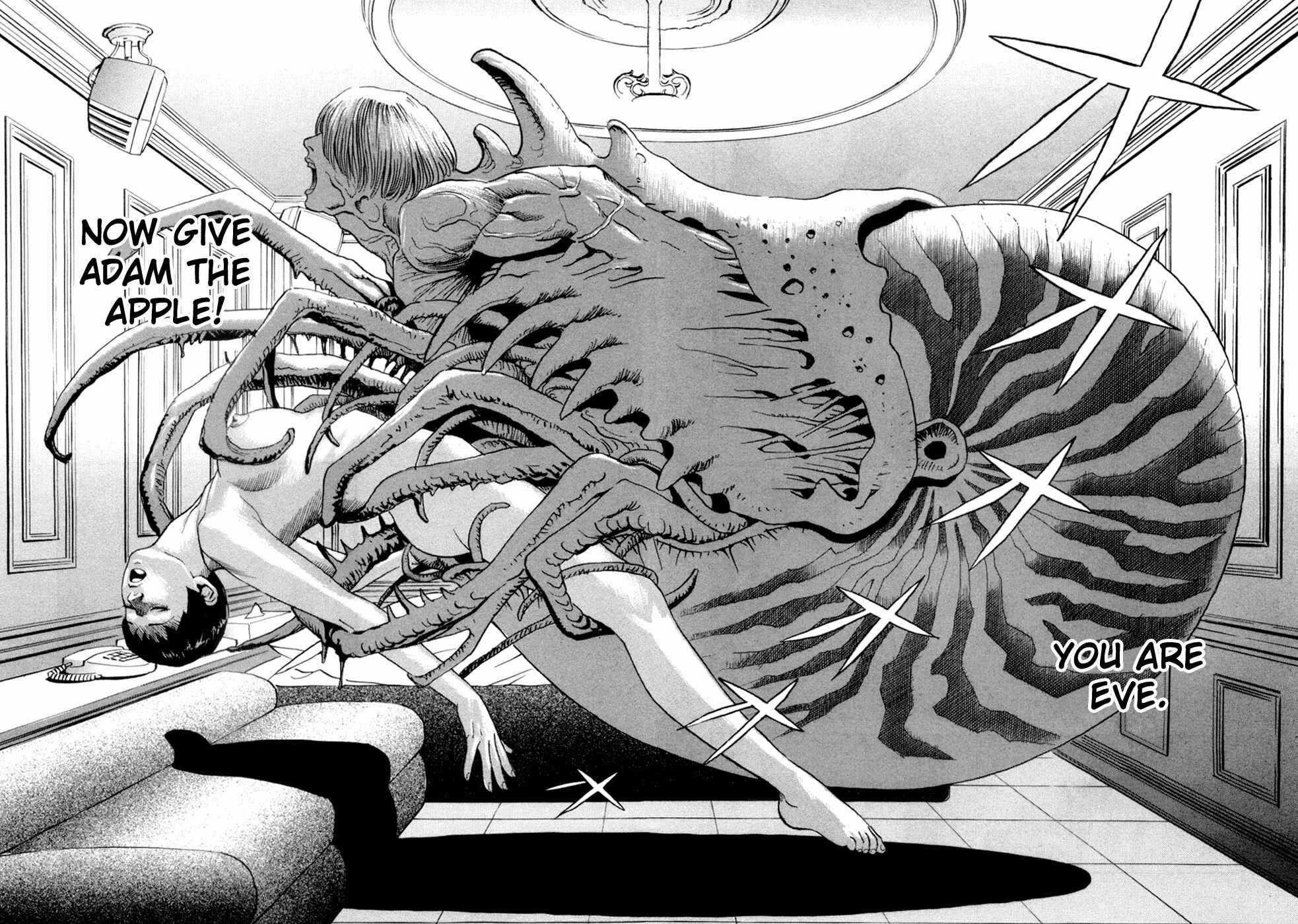 Page 24 Chapter 2 Cambrian