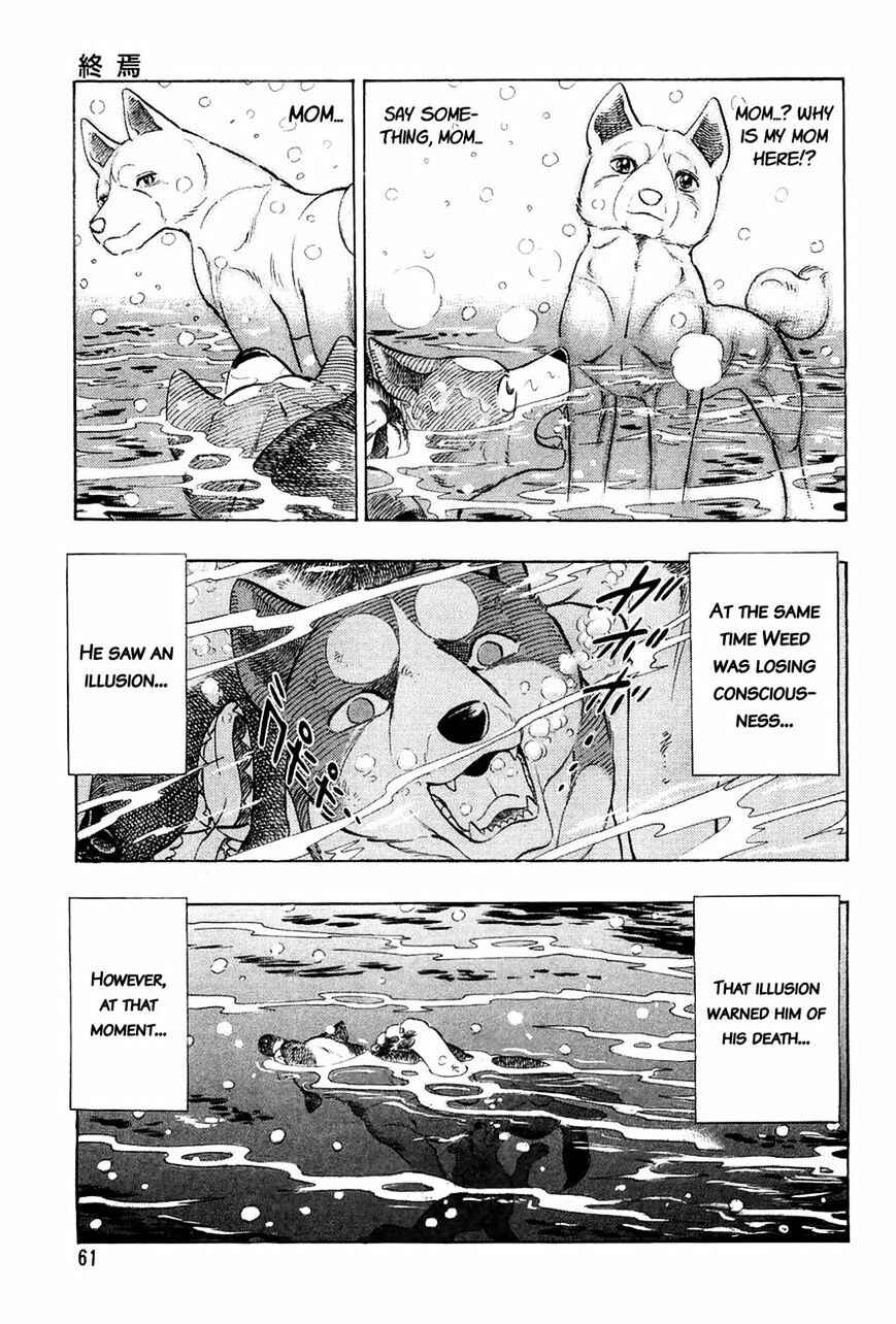 Page 13 Chapter 51 Ginga Densetsu Weed