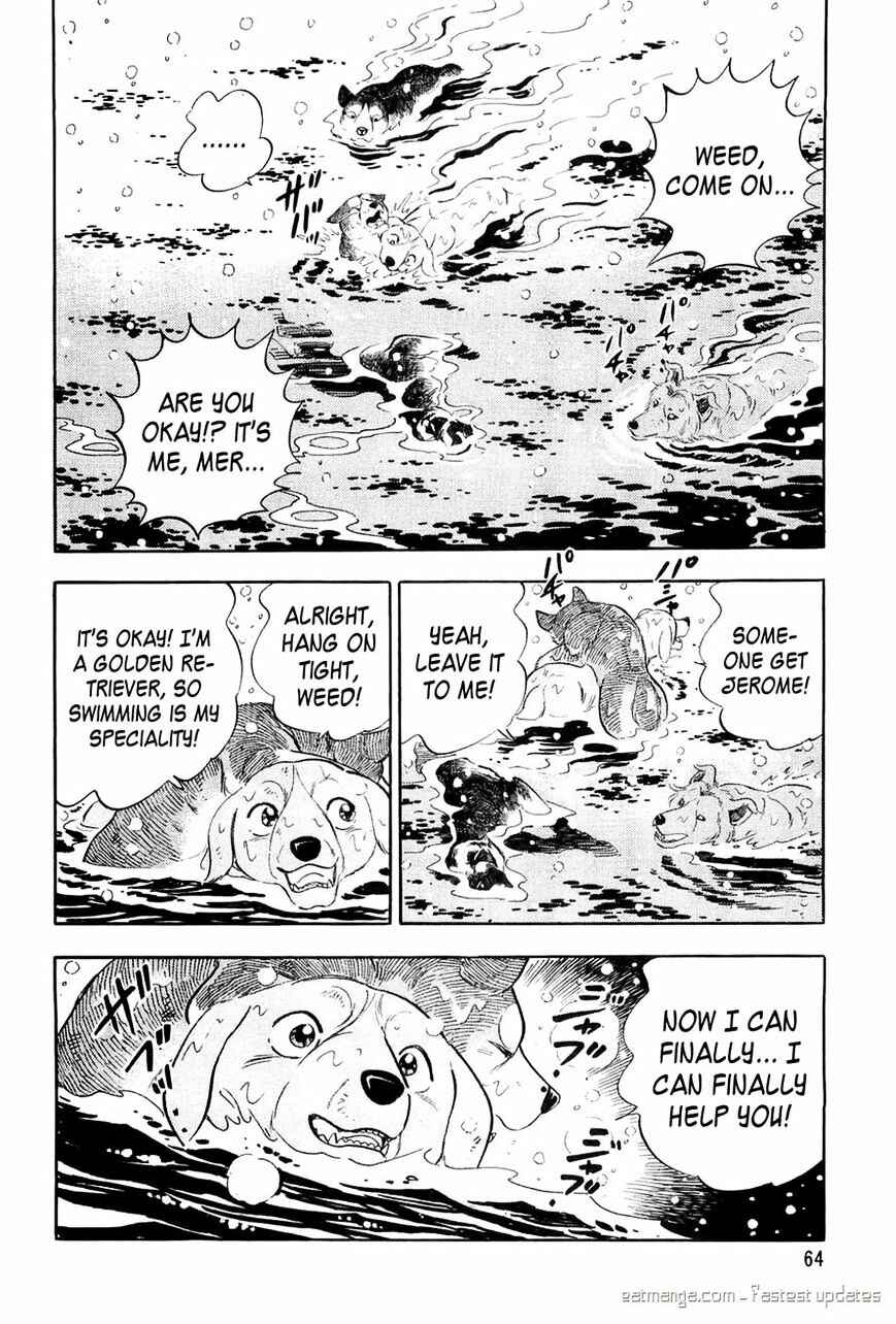 Page 16 Chapter 51 Ginga Densetsu Weed