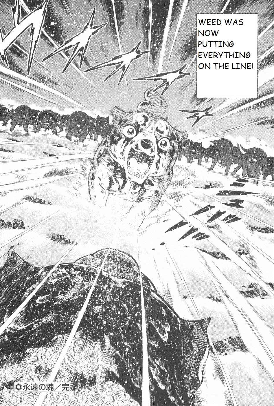 Page 21 Chapter 249 Ginga Densetsu Weed