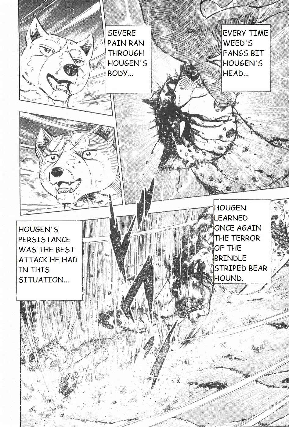 Page 16 Chapter 245 Ginga Densetsu Weed