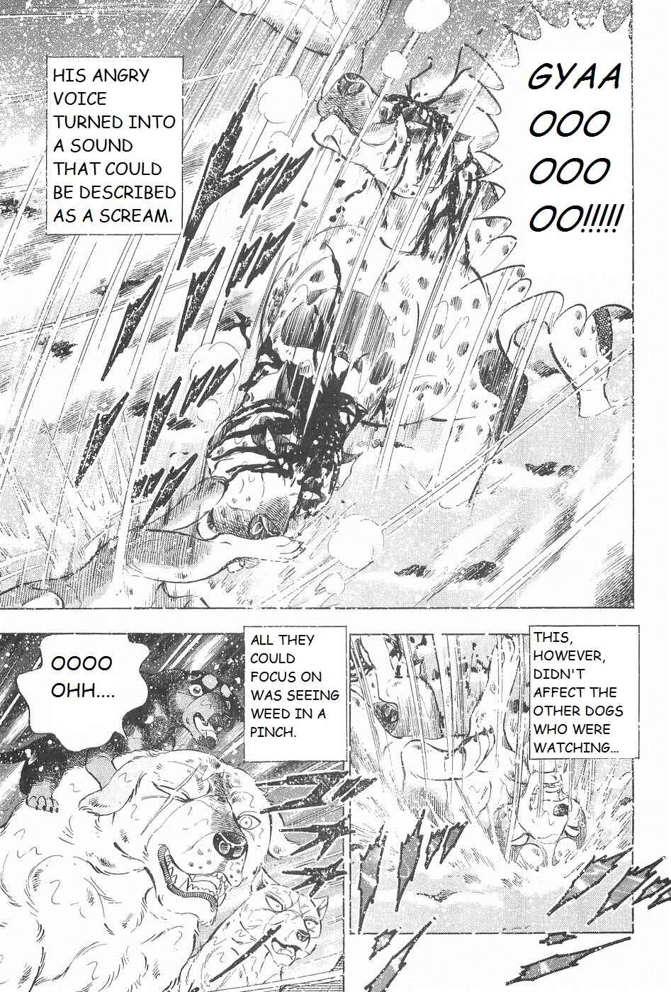 Page 17 Chapter 245 Ginga Densetsu Weed